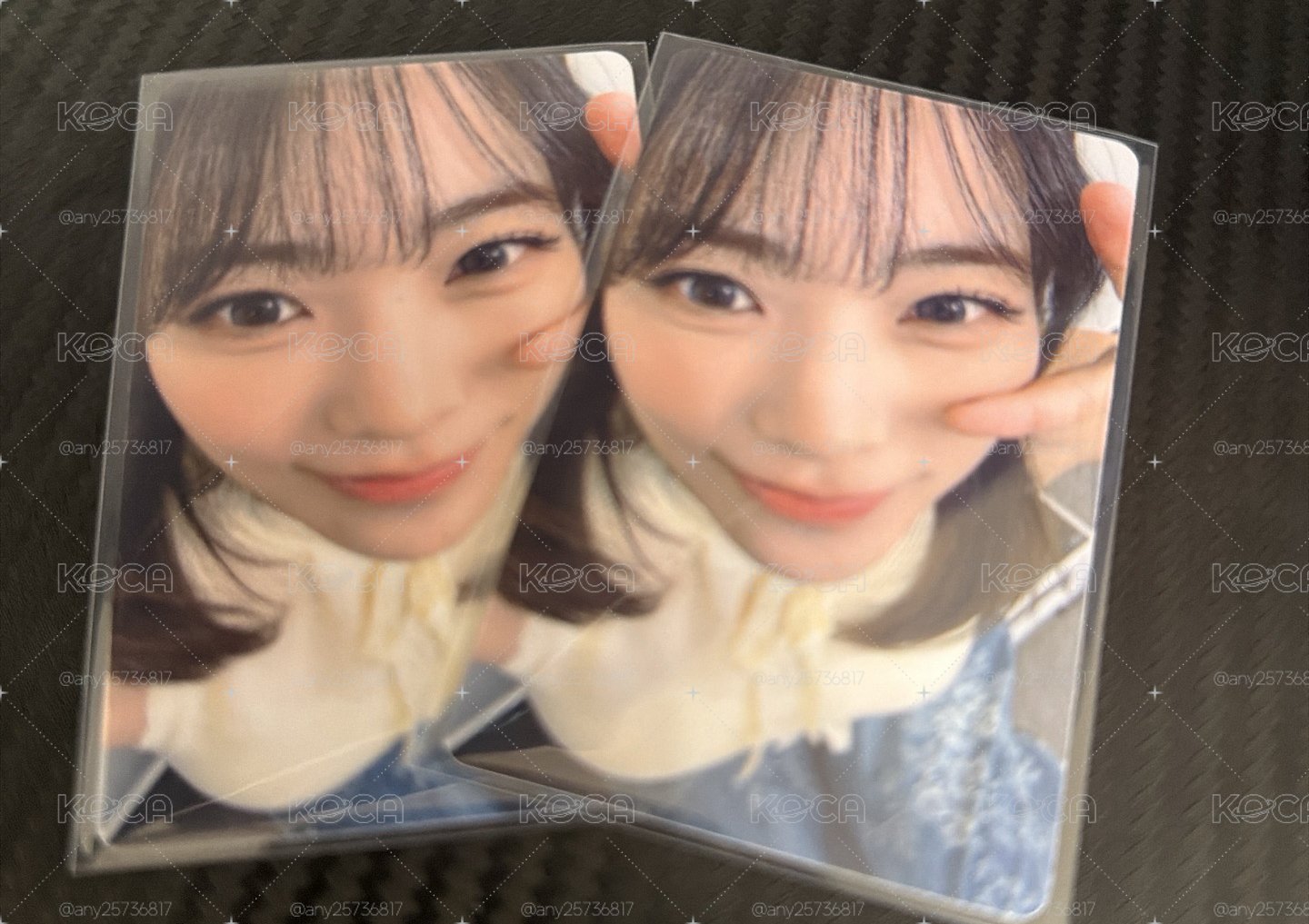 演唱會印卡 燕
