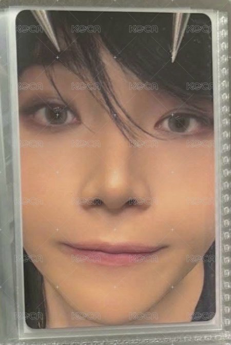 月狼