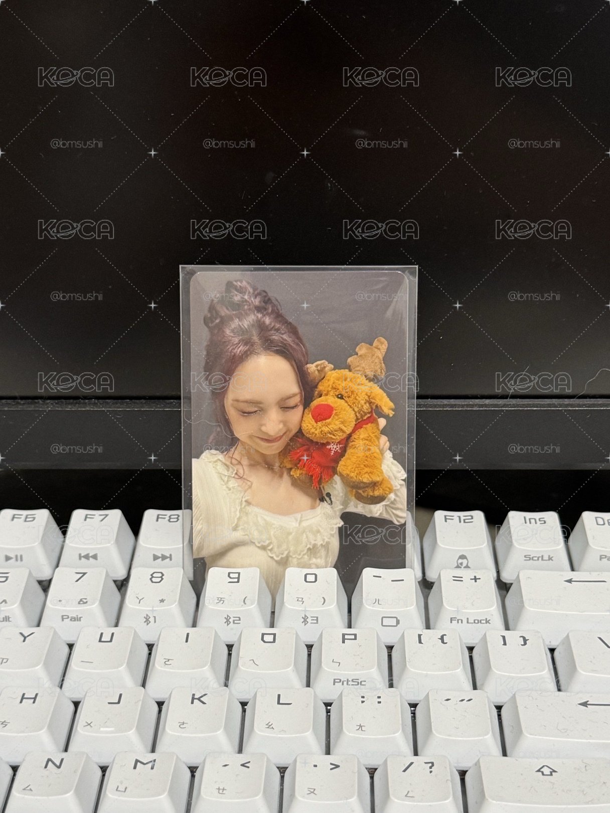 日本聖誕隨機B ver./CHIQUITA🐈‍⬛