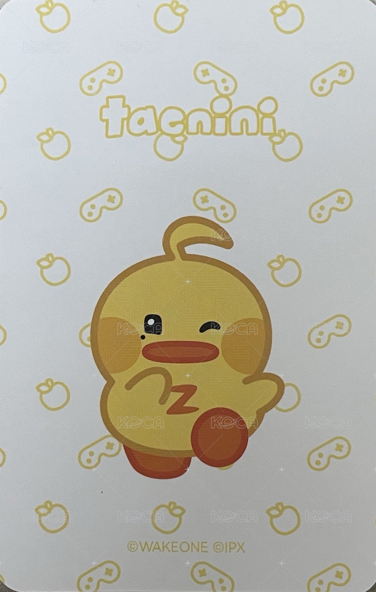 zeroni HOME PARTY  周邊卡 卡套卡 背面