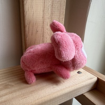 【演唱會必備】 TWICE LOVELYS 髮夾