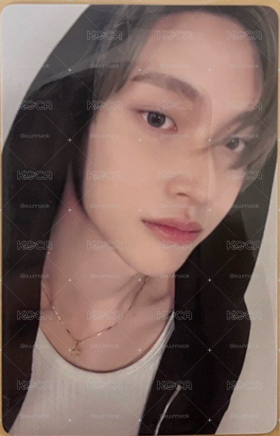 申請成為你的小貓><（中文卡背）