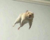 米西
