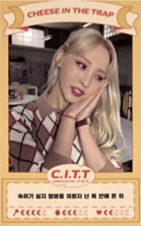 C.I.T.T(Cheese In The Trap)  專輯卡 