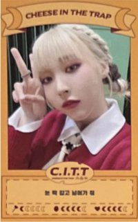 C.I.T.T(Cheese In The Trap)  專輯卡 