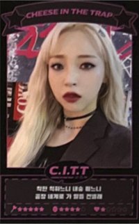 C.I.T.T(Cheese In The Trap)  專輯卡 