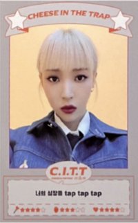 C.I.T.T(Cheese In The Trap)  專輯卡 