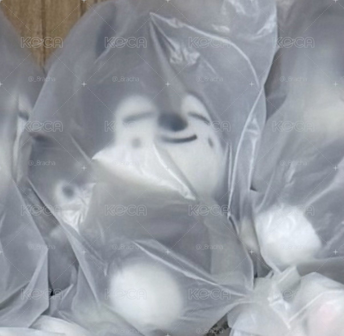 磁吸抱抱娃燦