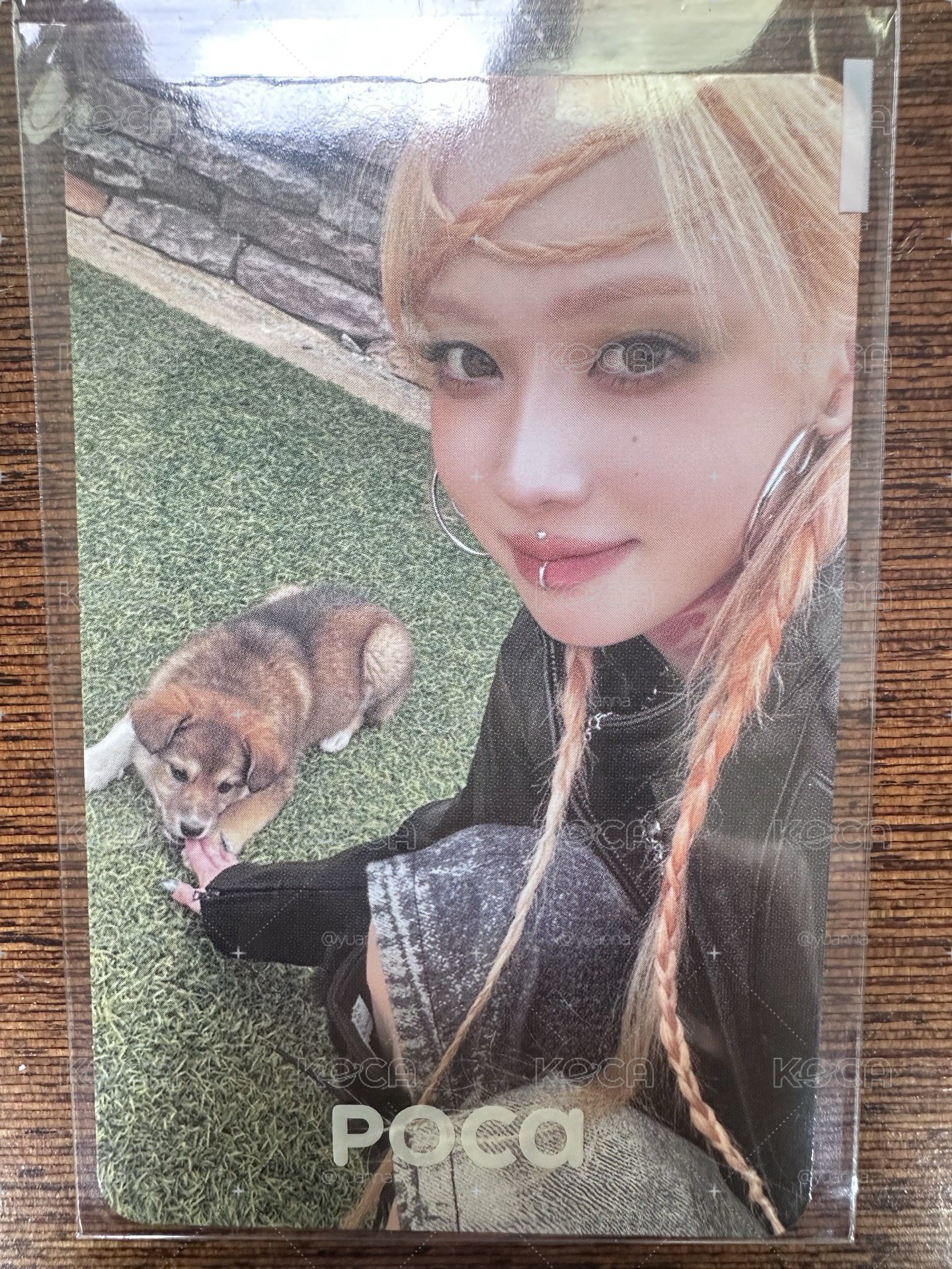 冬冬與狗