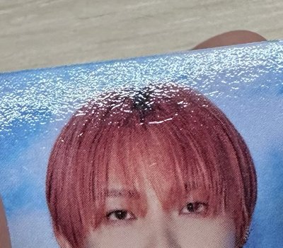 &TEAM NICHOLAS 證件照