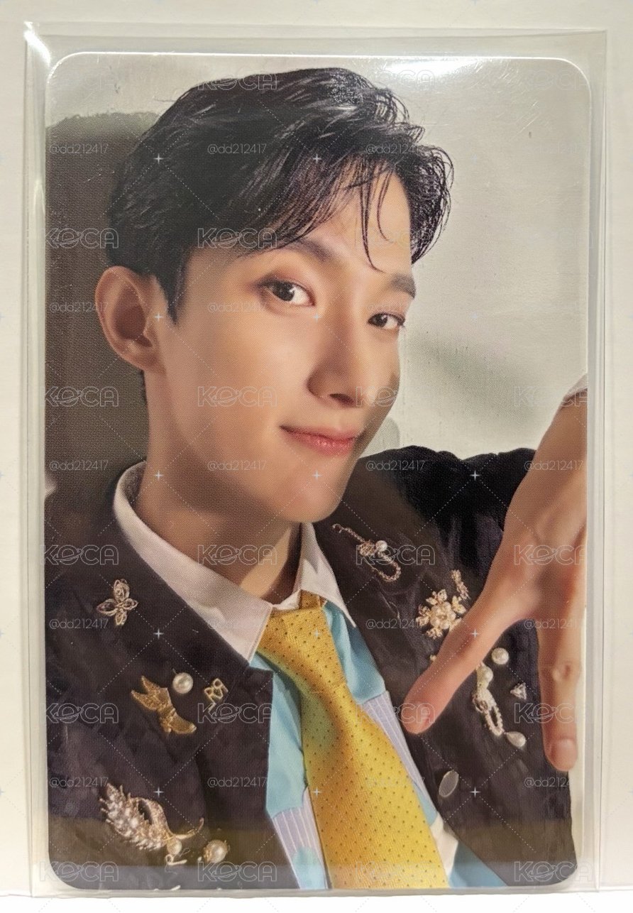 Seventeen小卡-DK