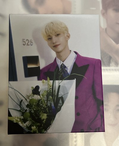 DK紫色西裝克拉盤+全套隨機卡