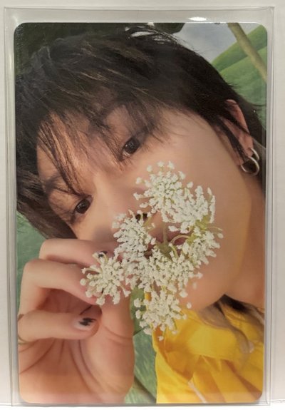 Seventeen小卡-The8