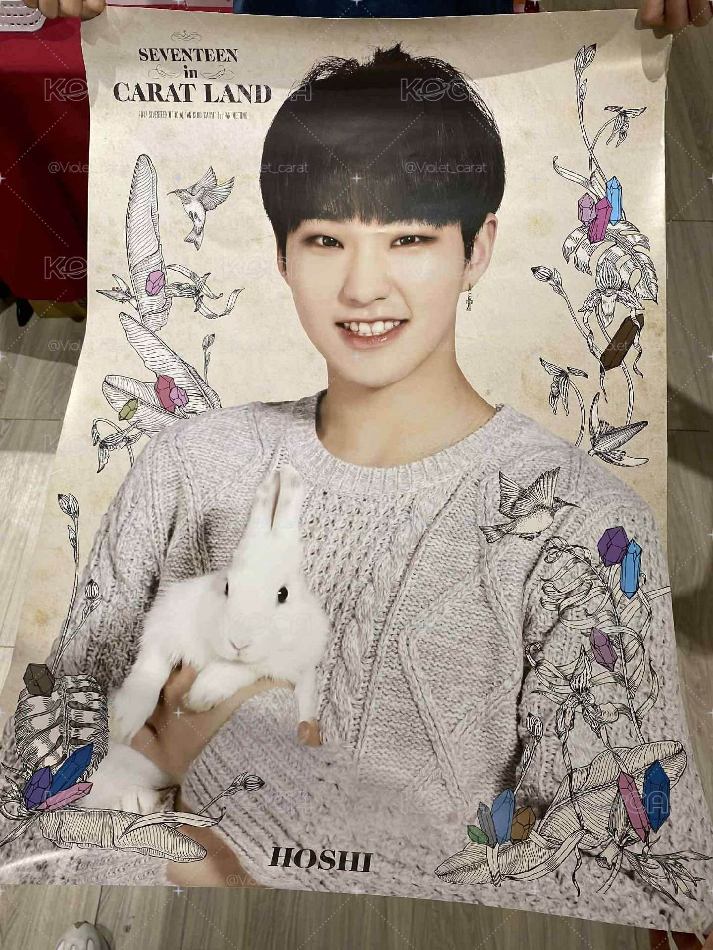 有暇 順榮 hoshi 2017 caratland 海報