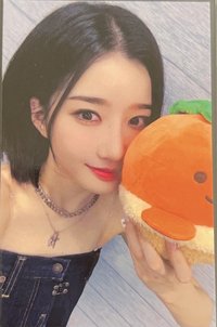 EVOLution <⟡> dmm 特典卡 楓葉