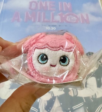 MOMO 磁吸趴娃（全新未拆.有證有袋）