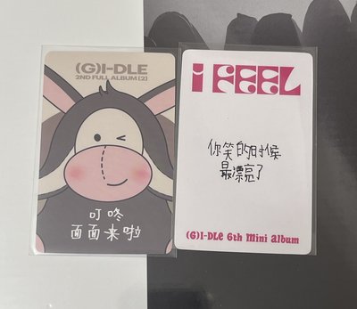 YZY麵娟中背特典