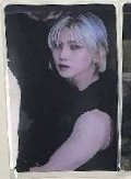 肌肉小狗