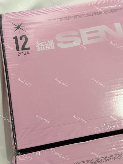 T1 S15 V6 鍵帽鑰匙圈 鑰匙圈吊飾