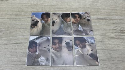TWS LastBell日咖特典卡