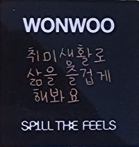 MINI12 入場卡 / 場限卡 SEVENTEEN STREET留言卡