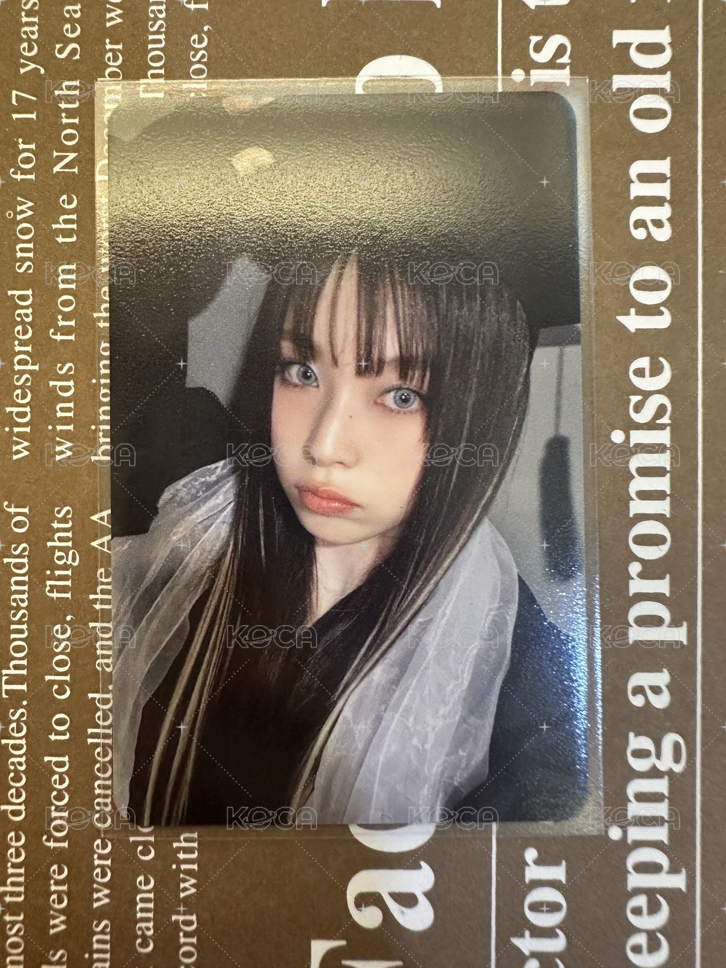 🩷畢業圭