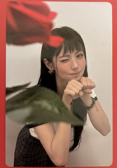 證件照+明信片，專卡，拍立得，空專