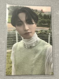 風有點大高領星