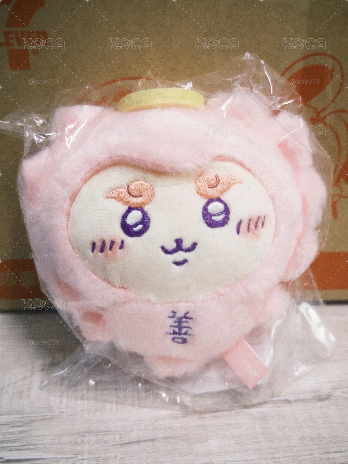 善 獅薩