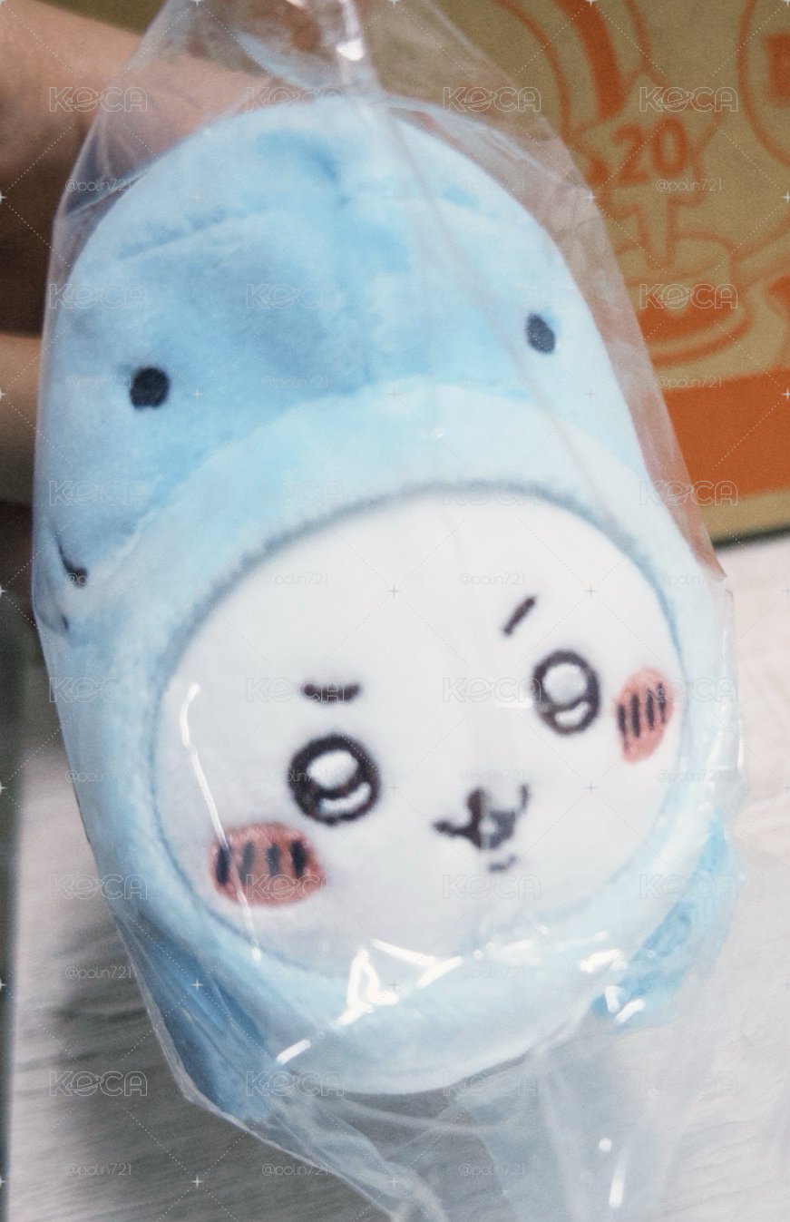 鯊魚 吉伊