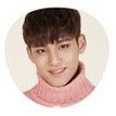 17’SEVENTEEN 扇子 