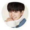 17’SEVENTEEN 大扇 應援扇 