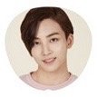 17’SEVENTEEN 扇子 
