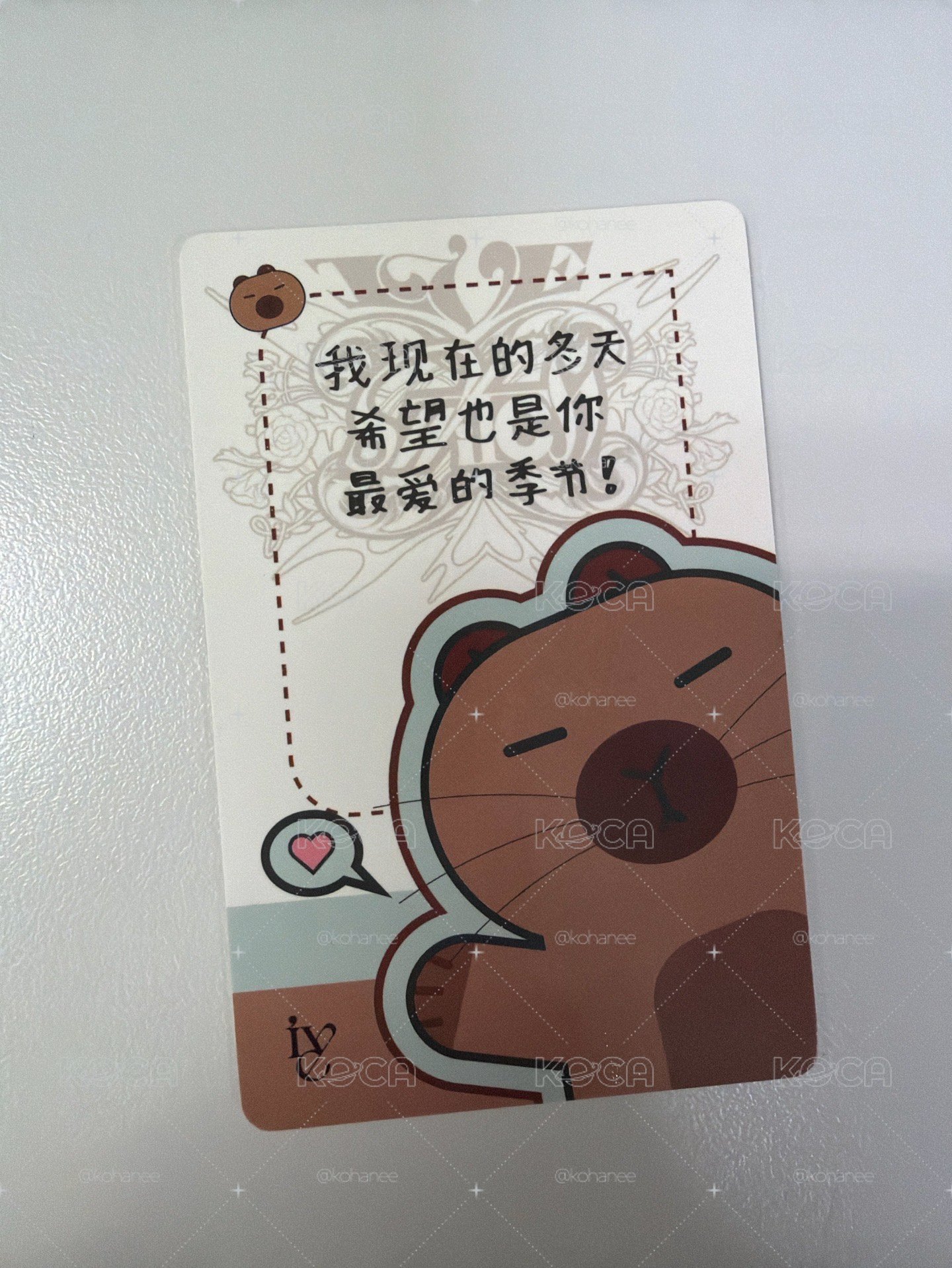 卡皮巴拉秋