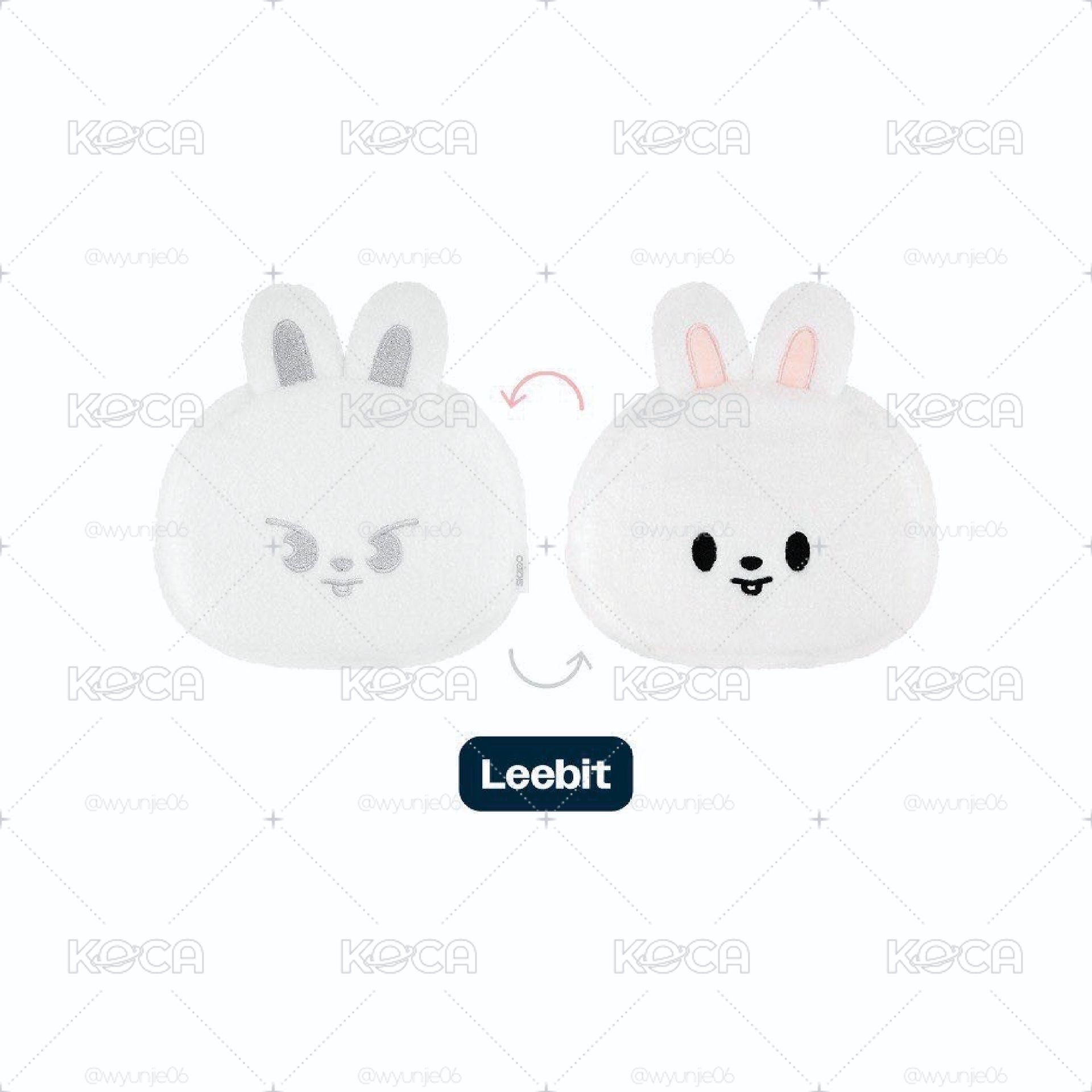 skzoo leebit 雙面包