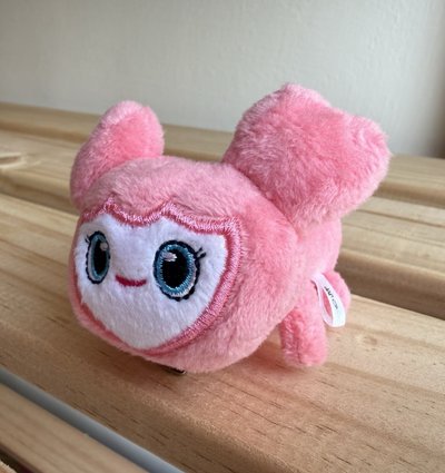 【演唱會必備】 TWICE LOVELYS 髮夾