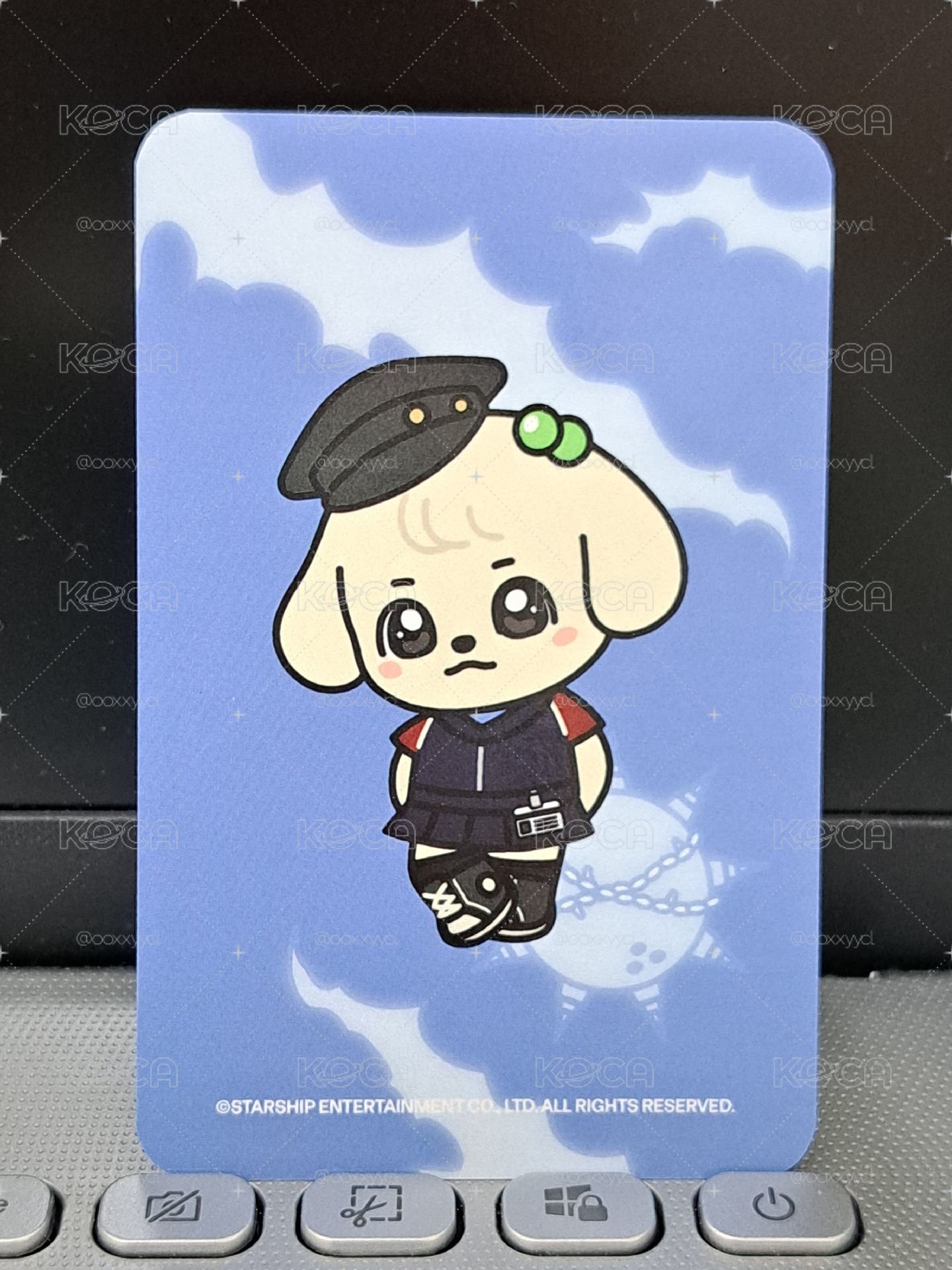 SW 安