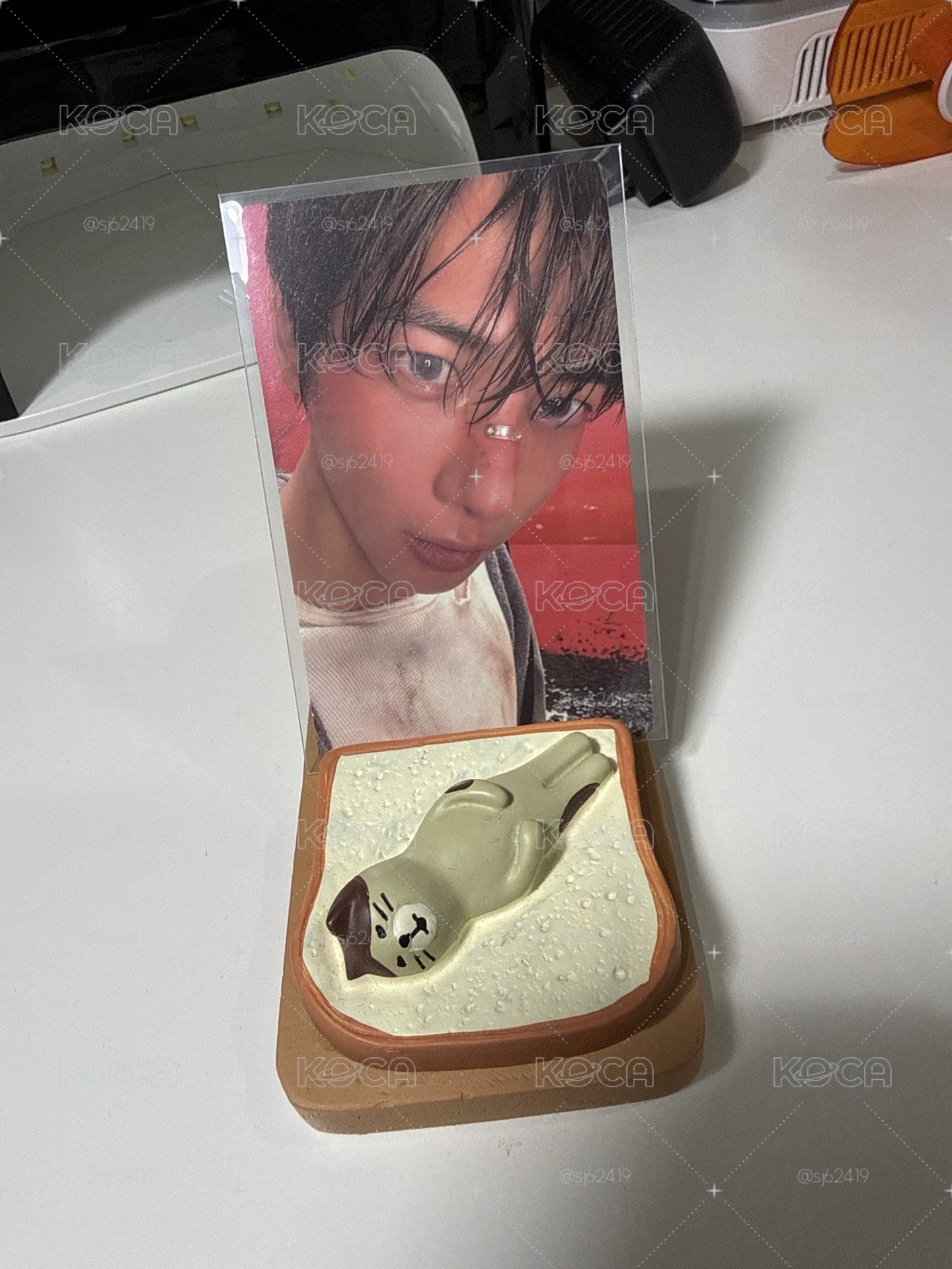 PB特典卡顯