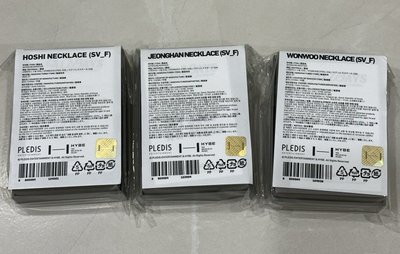 SEVENTEEN 九週年 項鍊 