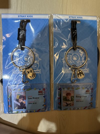 Stray Kids SKZ TOT WORLD ID CARD