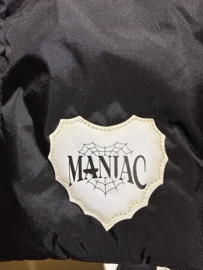 stray kids Maniac Encore Japan場週