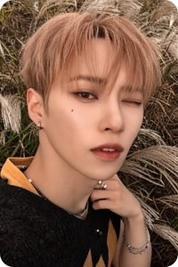 迷一 hmv 特典卡 