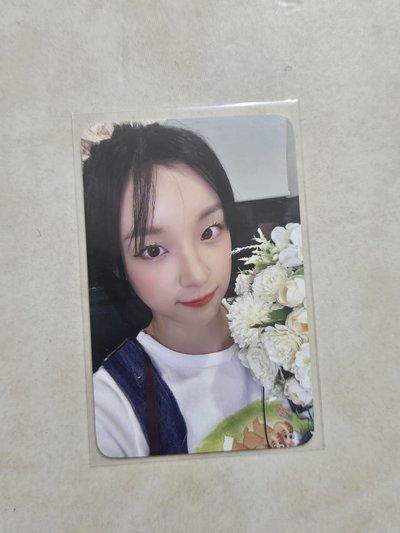 迷七wm花 琦