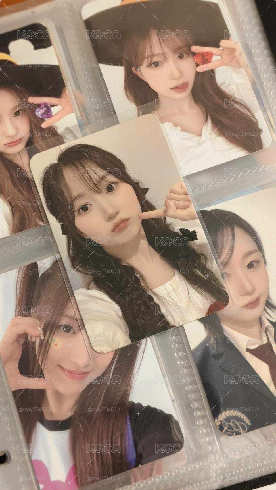 ENTWURF 阿拉丁 預售 特典卡
