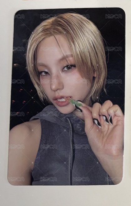 軟糖志