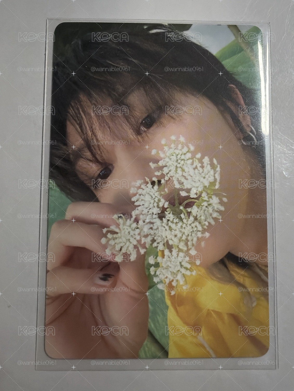 迷你11 THE8