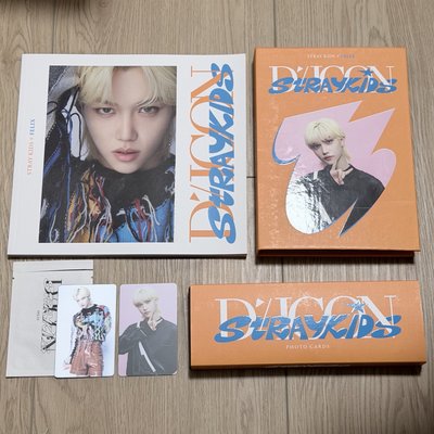 Stray Kids FELIX Dicon 10週年寫真 卡冊組 整組 