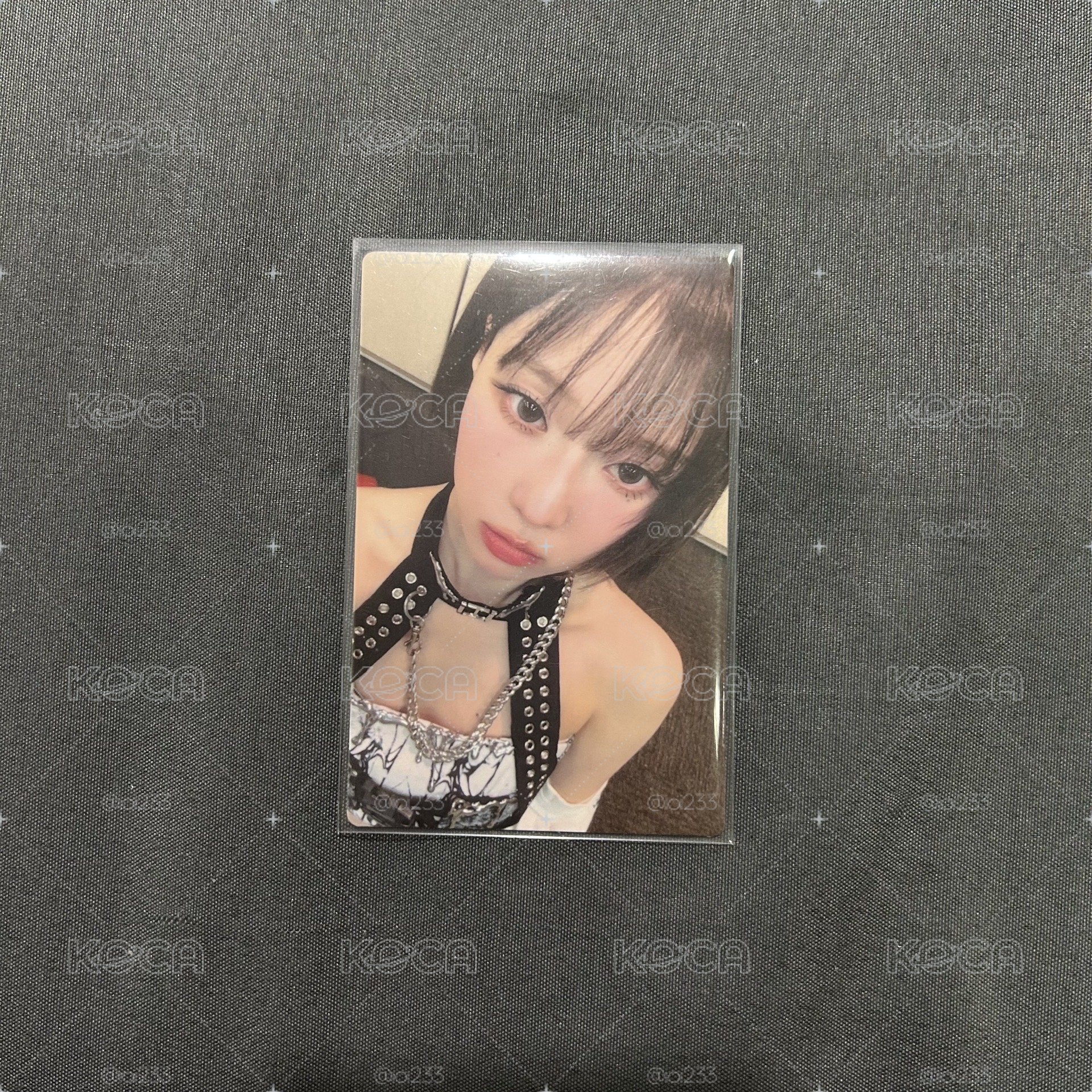 冬 廣州展會