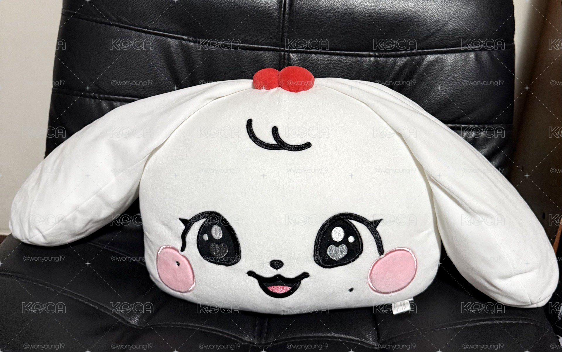 員瑛抱枕