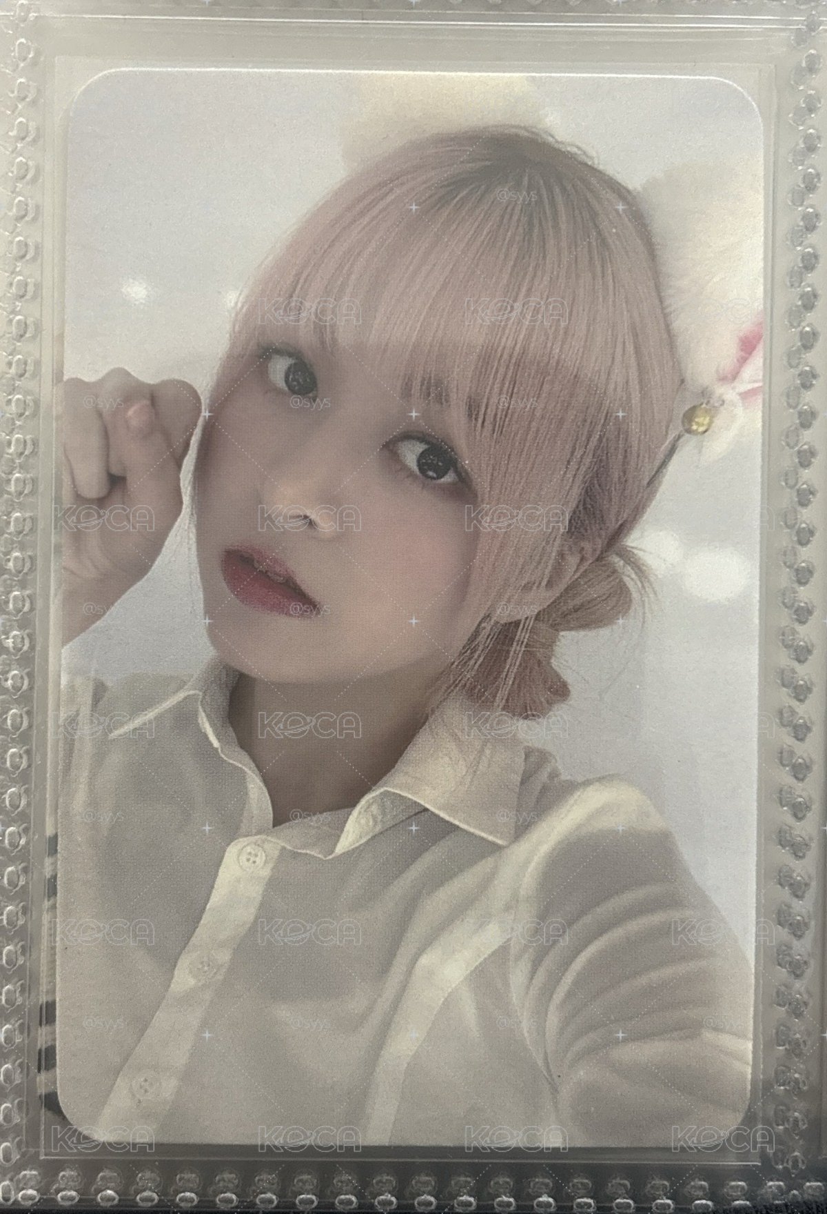 白貓莉 莉莉小卡